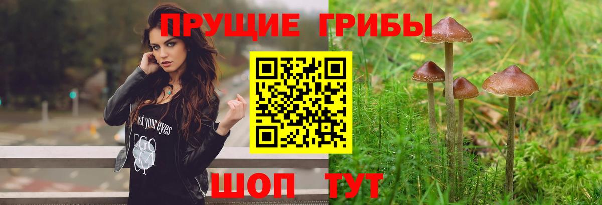 Псилоцибиновые грибы MAGIC MUSHROOMS Южно-Сахалинск